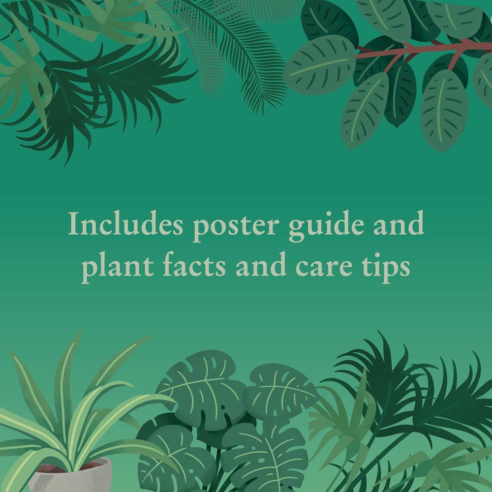 Houseplants, 1000-piece puzzle, Ridley's