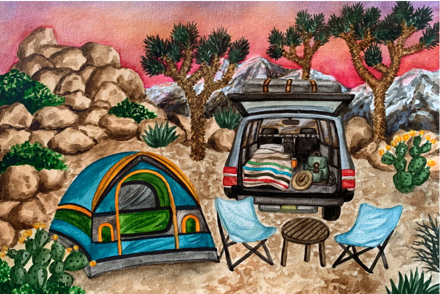 Joshua National Park - Camping, 150-piece mini puzzle, Micro Puzzles
