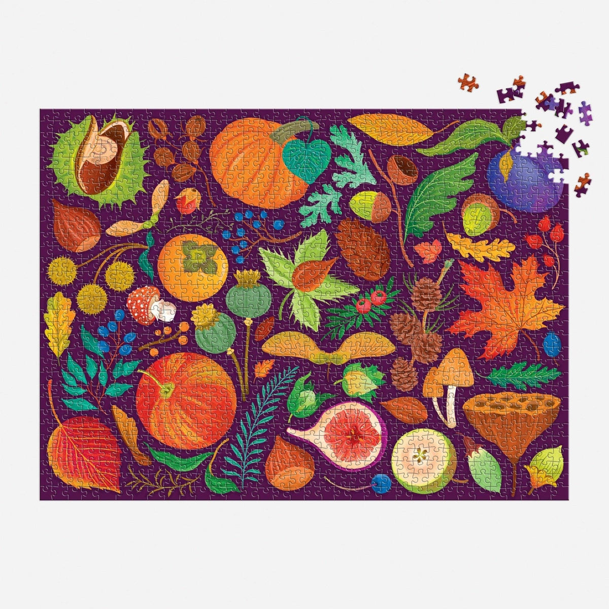 World of Fall Flora, 1000-piece puzzle, Galison