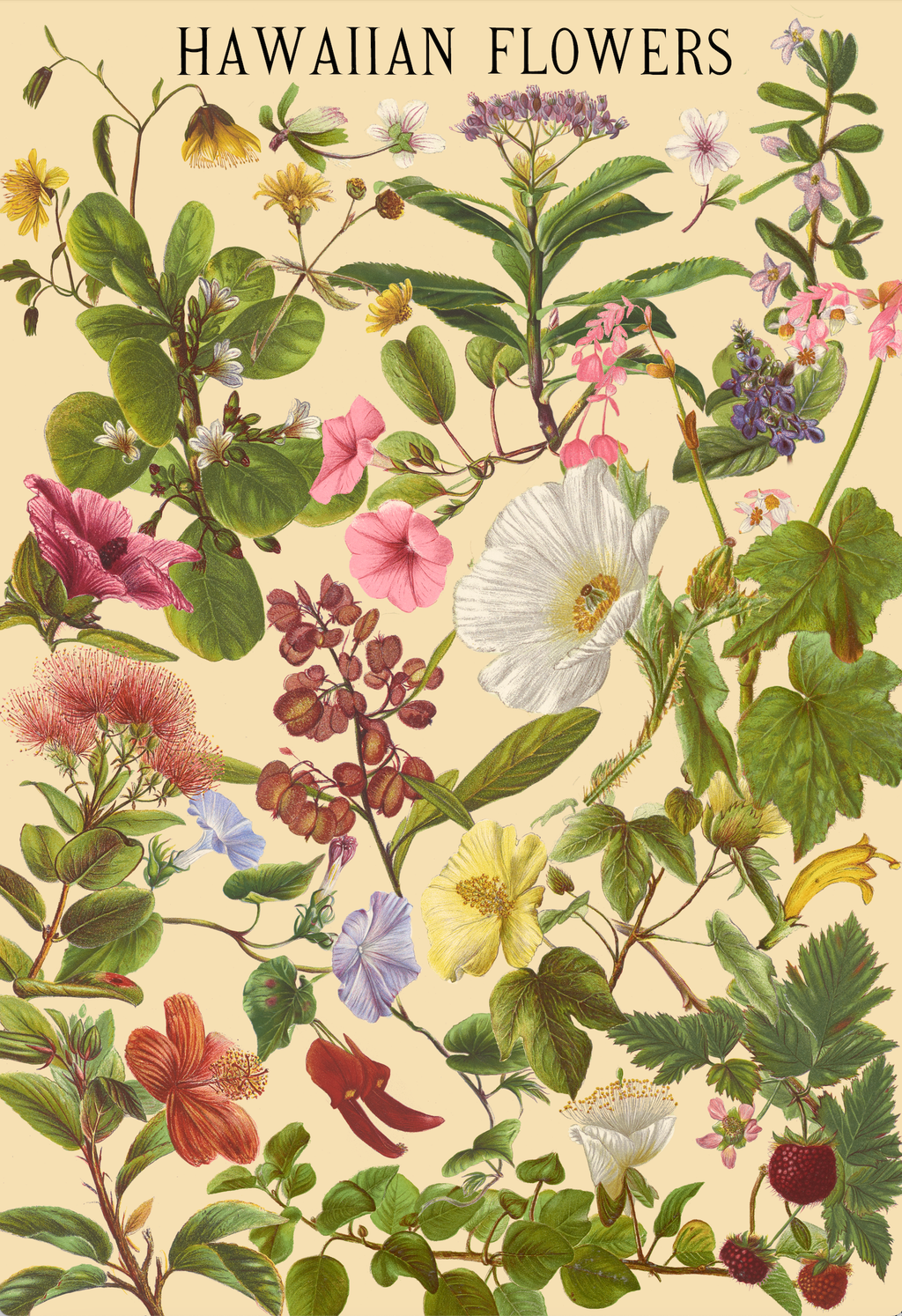 Hawaiian Flowers, 1000-piece puzzle, Surf Shack Puzzles
