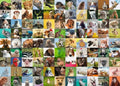 99 Funny Animals, 1000-piece puzzle, Ravensburger