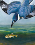 Belted Kingfisher (Cornell Lab of Ornithology), 100-piece puzzle, New York Puzzle Company