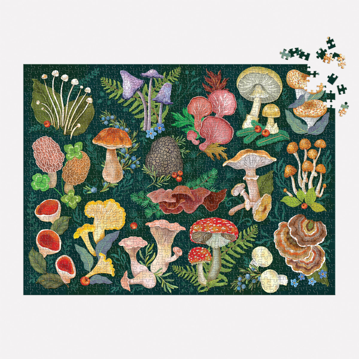 World of Mushrooms, 1000-piece puzzle, Galison