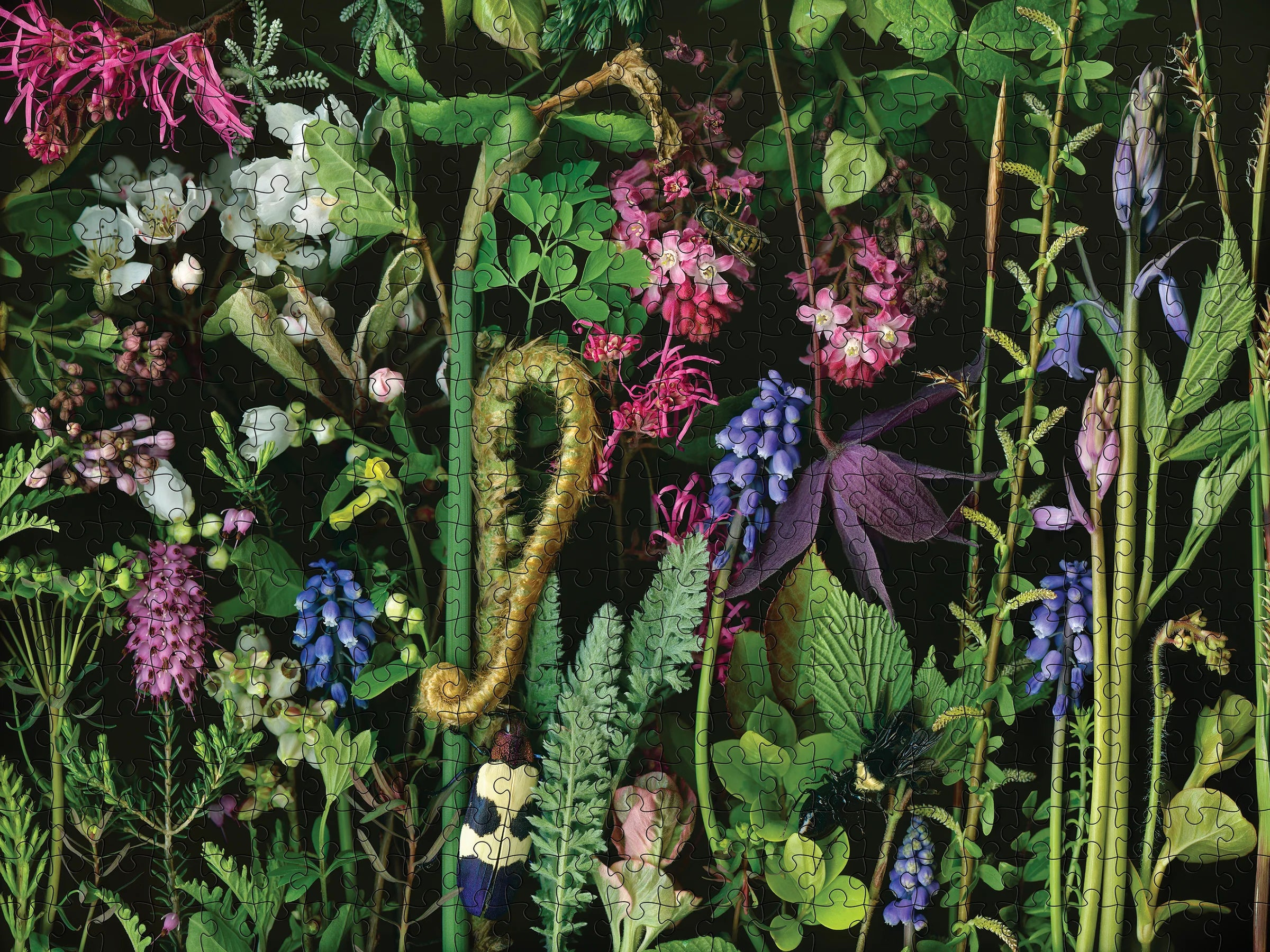 Chaos - Deb Stoner, 500-piece puzzle, Pomegranate