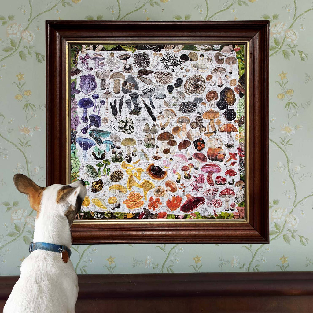Mushroom Rainbow, 1000-piece puzzle, eeBoo