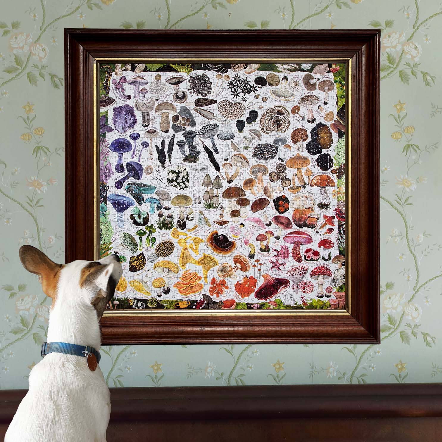 Mushroom Rainbow, 1000-piece puzzle, eeBoo