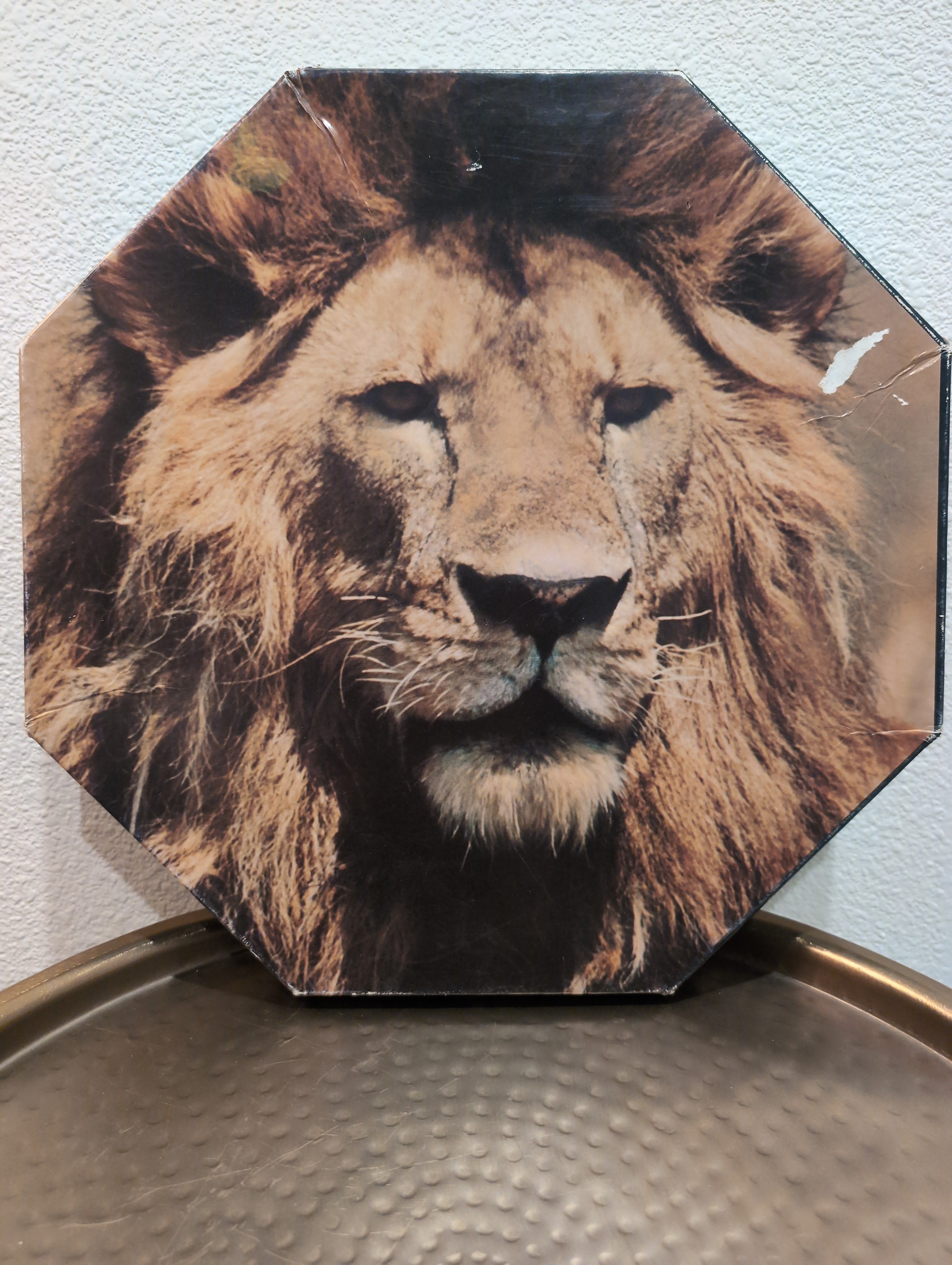 Vtg King of Beasts, 500-piece okta puzzle, Springbok