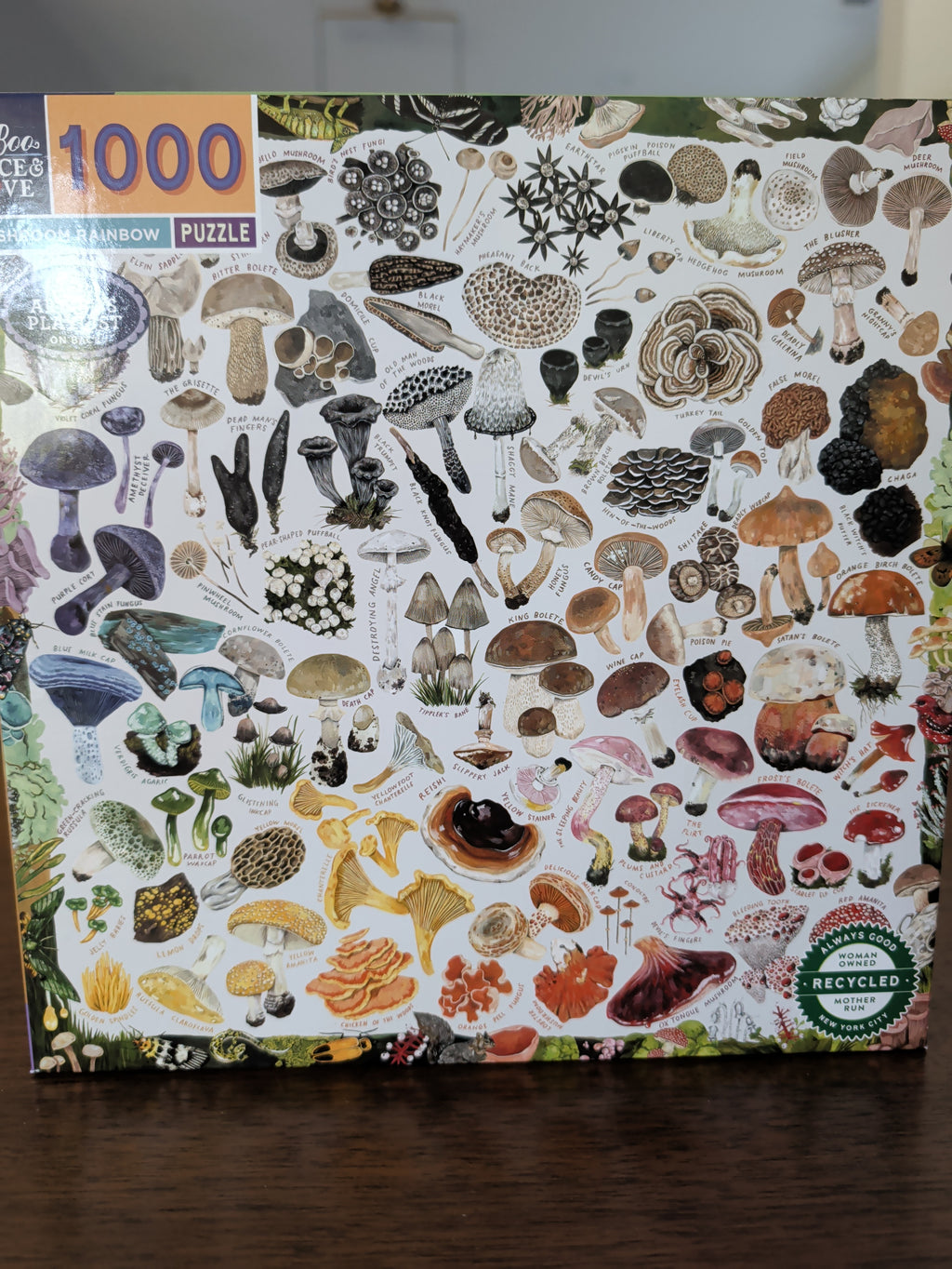 Mushroom Rainbow, 1000-piece puzzle, eeBoo