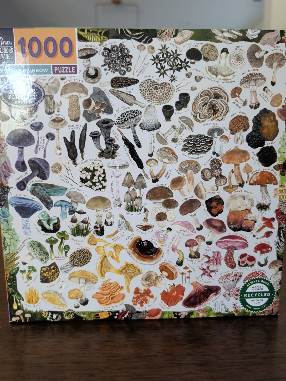 Mushroom Rainbow, 1000-piece puzzle, eeBoo