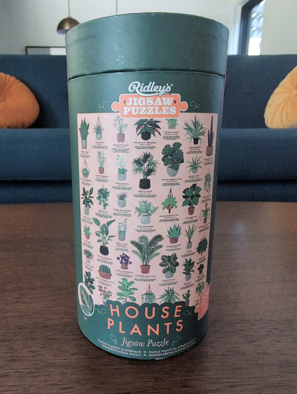 House Plants, 500-piece puzzle, Ridley's Games