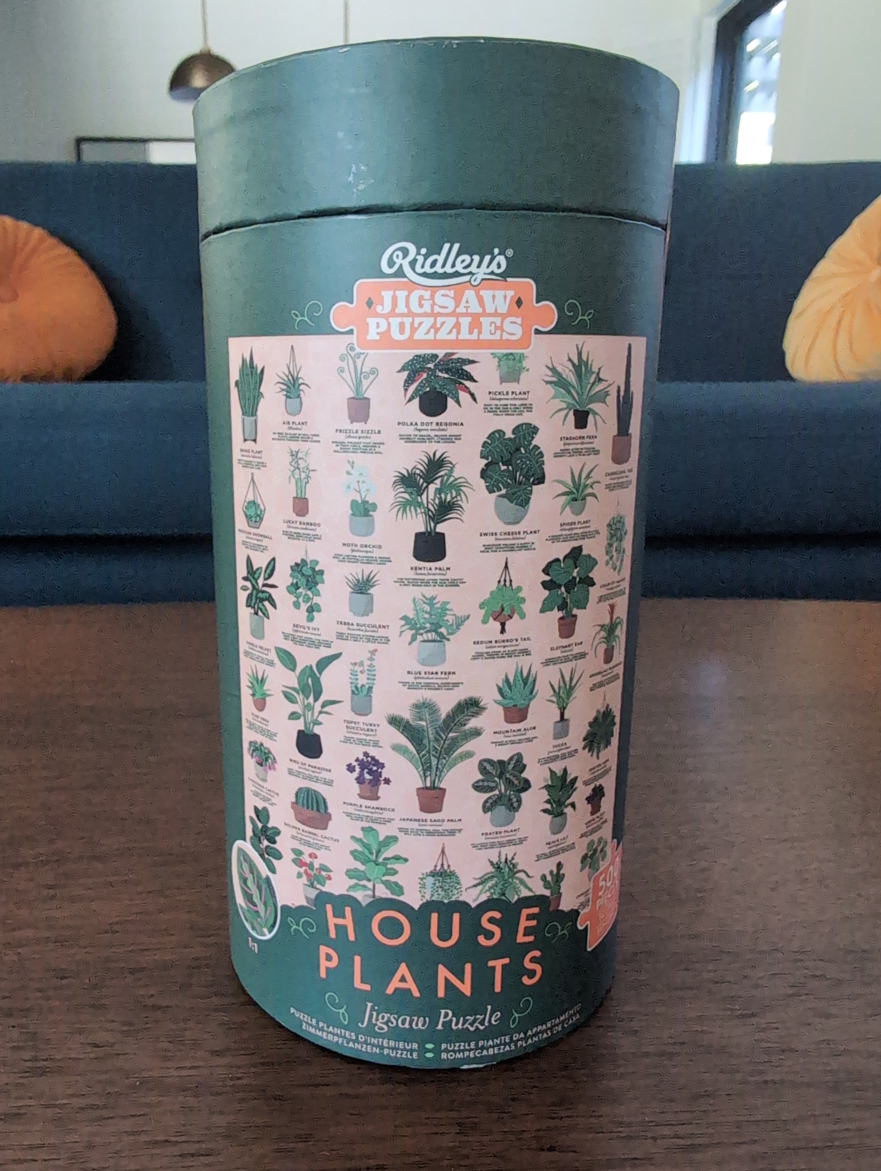House Plants, 500-piece puzzle, Ridley's Games