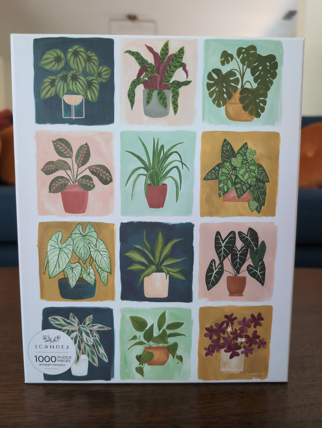 Houseplants, 1000-piece puzzle, 1canoe2