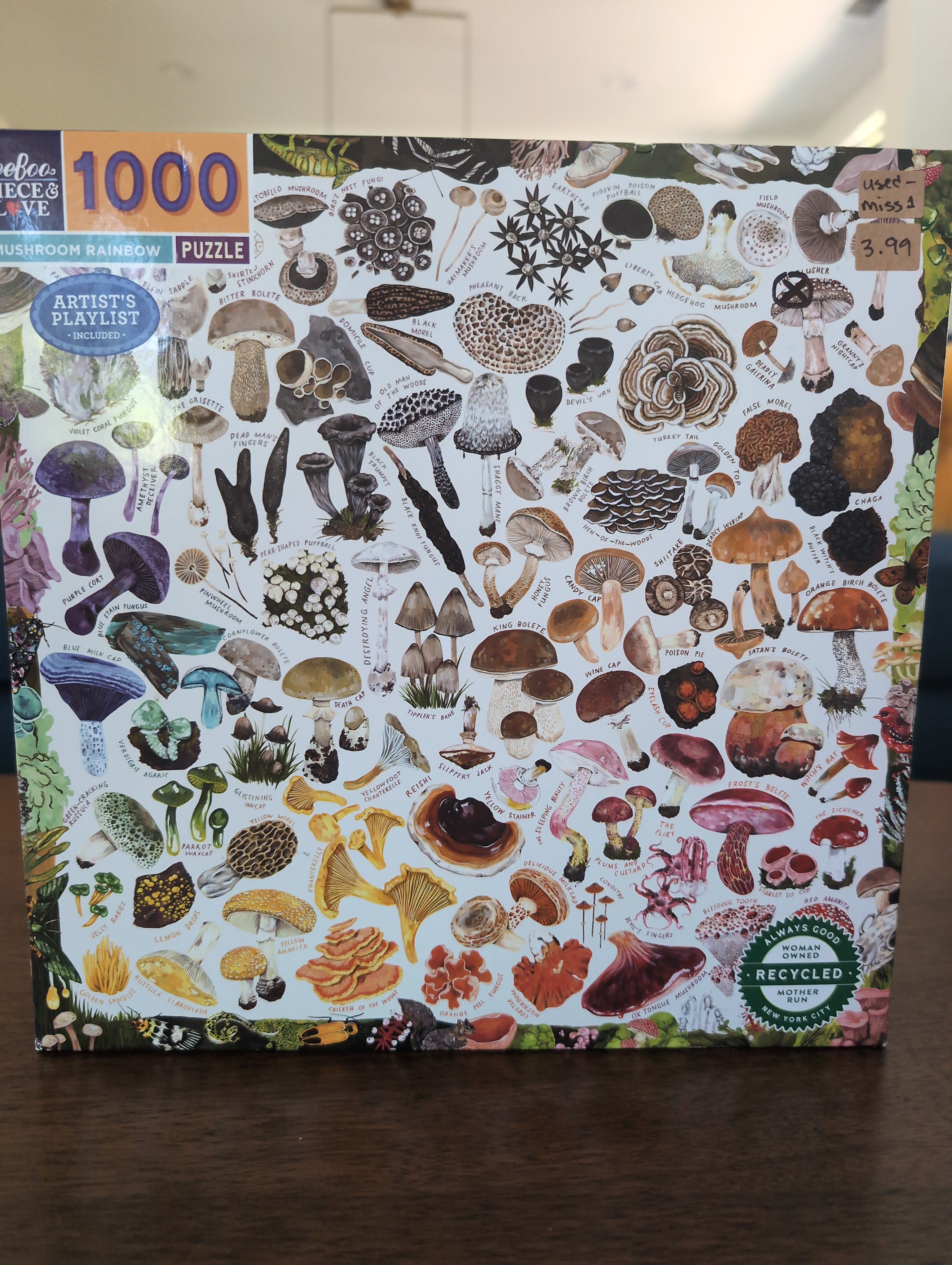 Mushroom Rainbow, 1000-piece puzzle, eeBoo