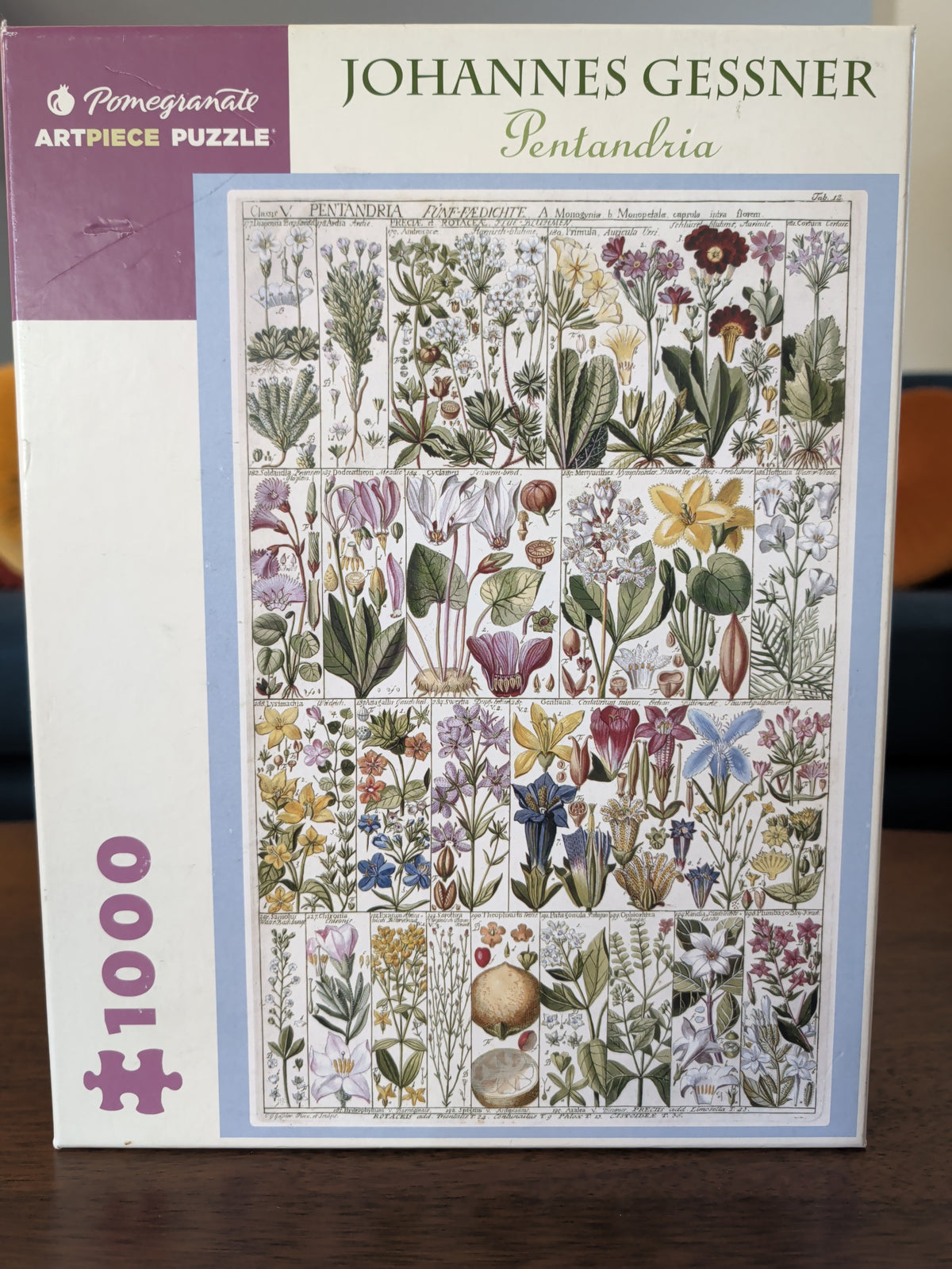 Pentandria - Johannes Gessner, 1000-piece puzzle, Pomegranate