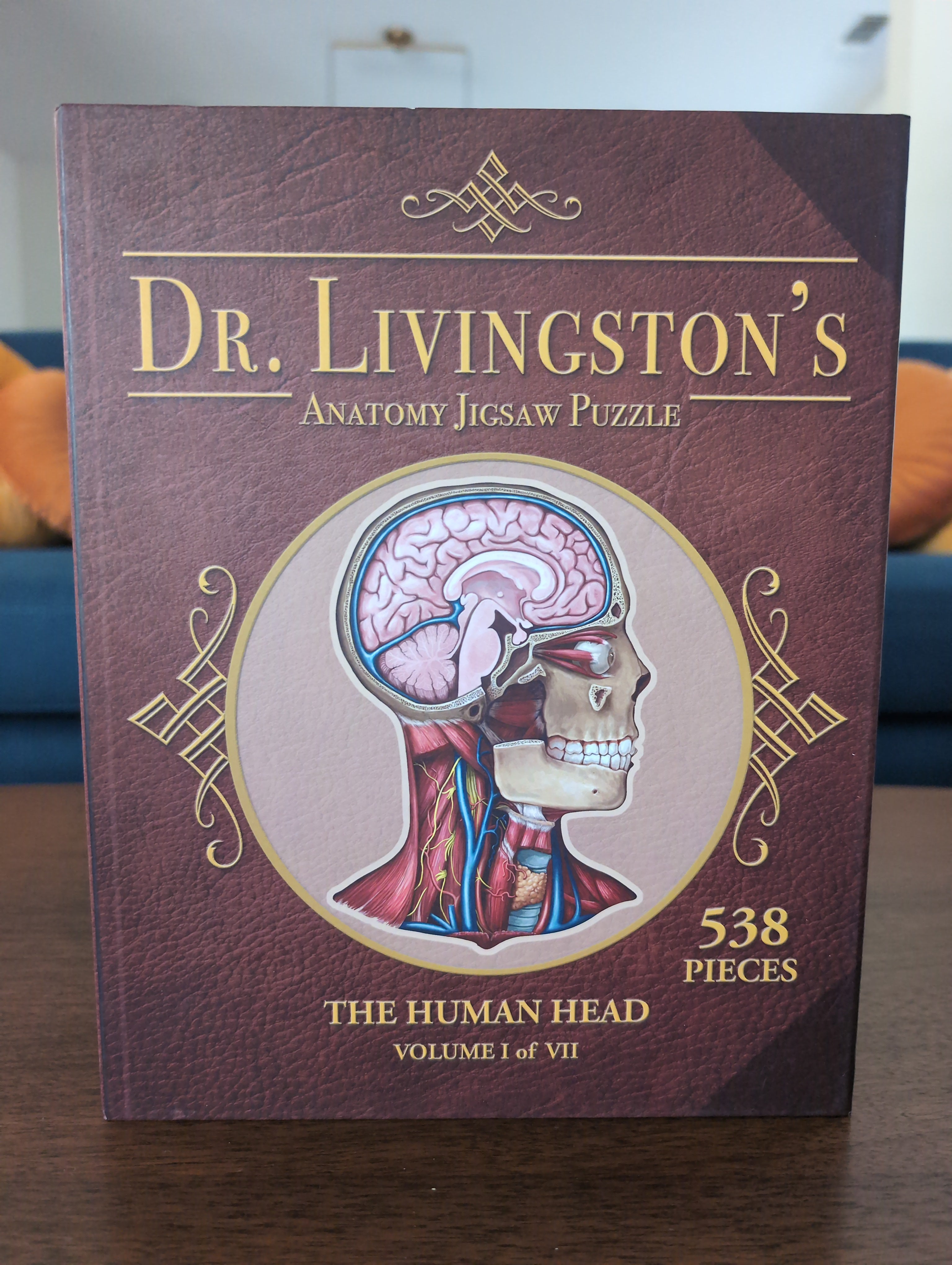 The Human Head (Dr. Livingston's Anatomy Jigsaw Puzzles, Vol. I of VII), 538-piece puzzle, Genius Games