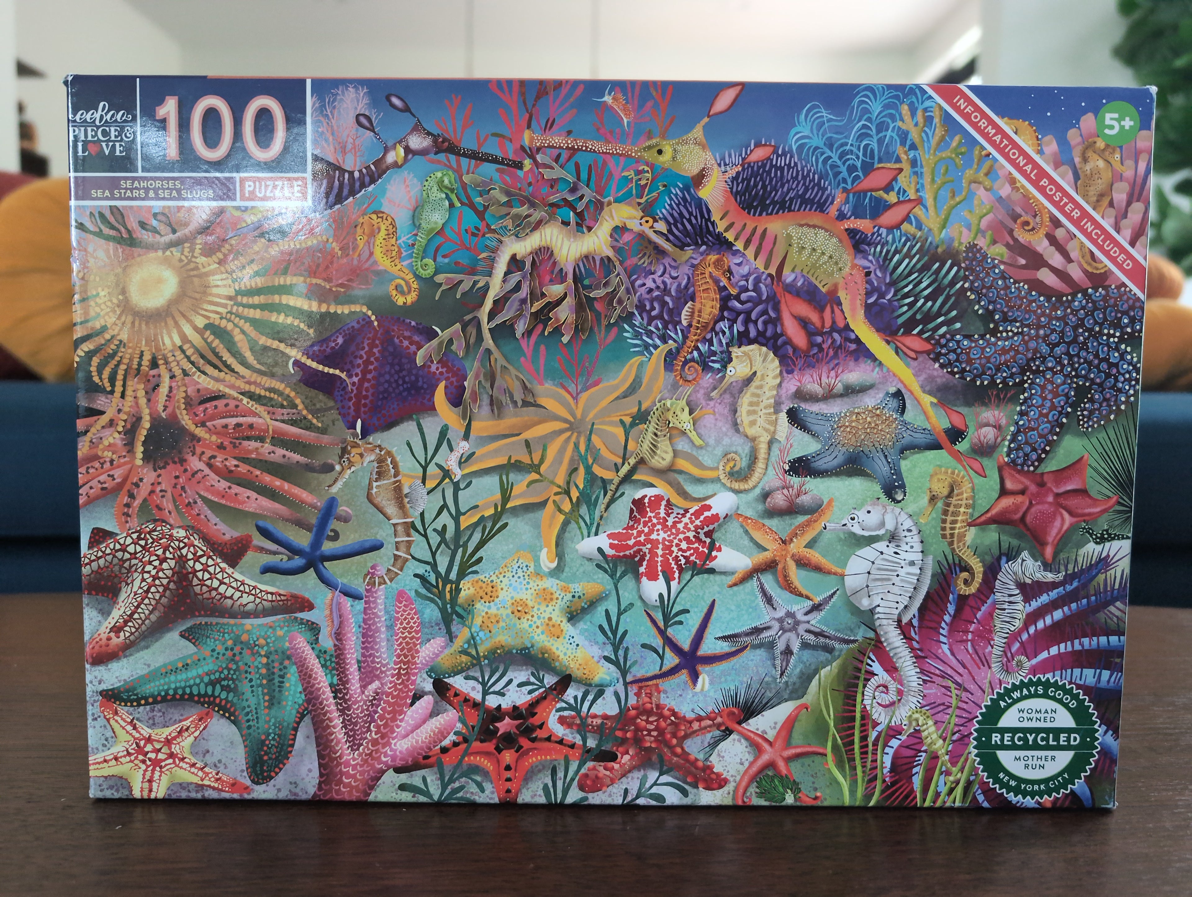 Seahorses, Sea Stars, and Sea Slugs, 100-piece puzzle, eeBoo