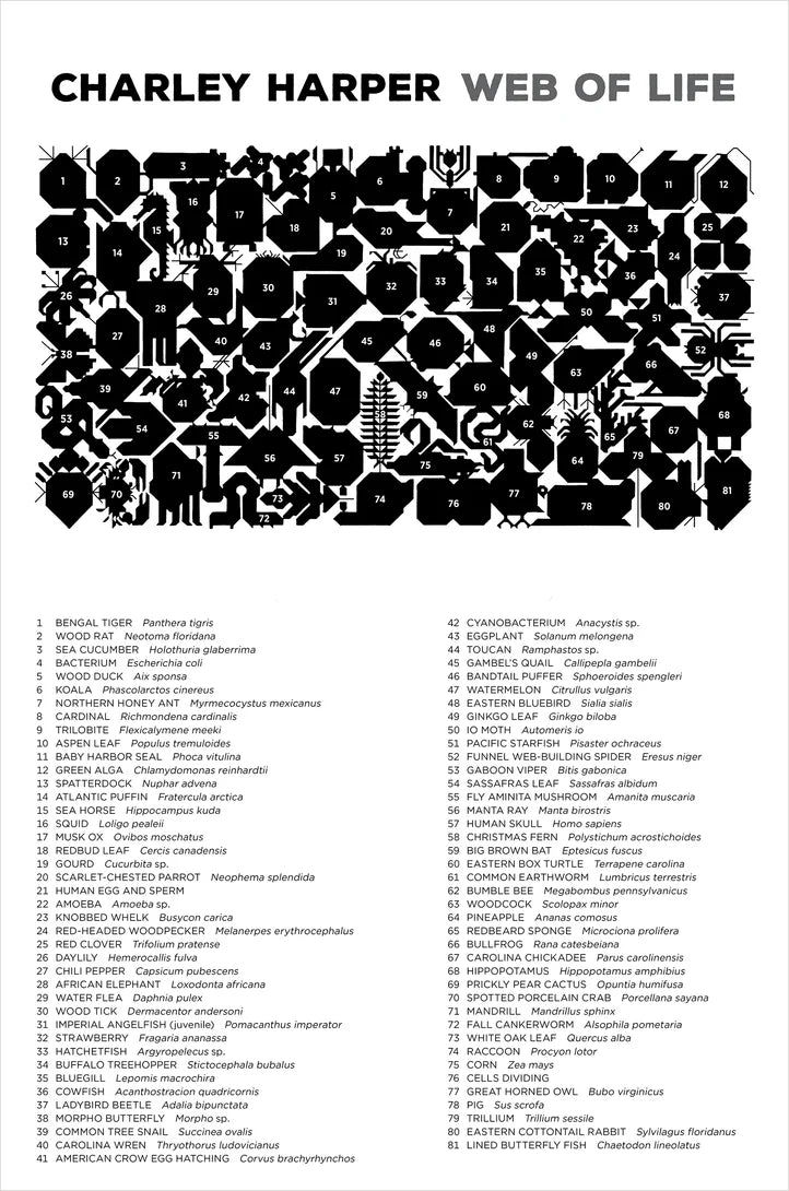 Web of Life - Charley Harper, 2000-piece puzzle, Pomegranate